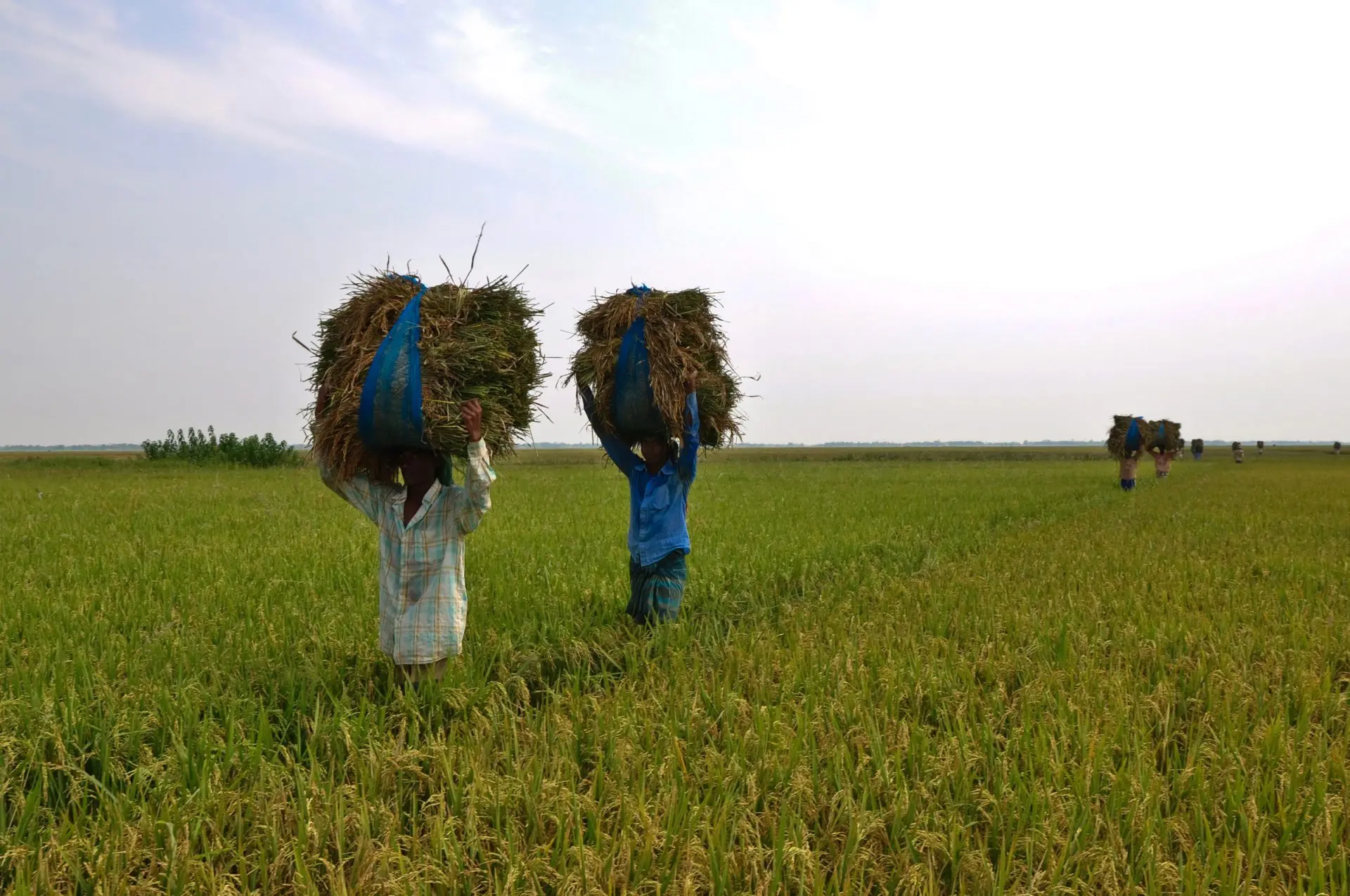 sejarah Bangladesh